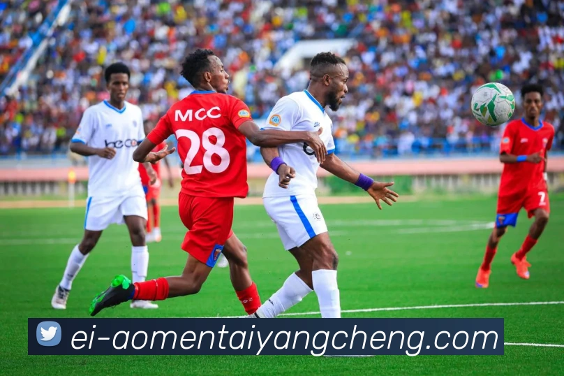 太阳城网站平台生态图