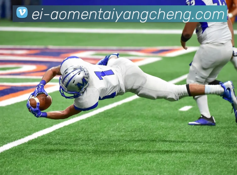 太阳城网站全站App